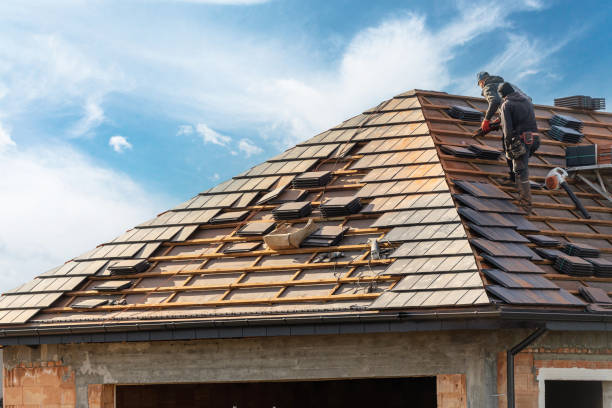 Best Roof Moss and Algae Removal  in Lenape Heights, PA